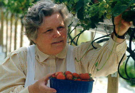Erdbeeren El